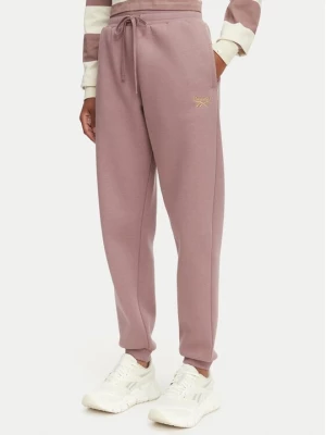Obrázek produktu Reebok Teplákové kalhoty Zana RK25690CC Hnědá Regular Fit