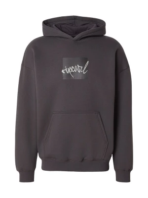 Obrázek produktu RIP CURL Mikina 'RIP SCRIPT HOOD' režná / černá