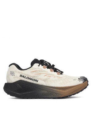 Obrázek produktu Salomon Běžecké boty Aero Blaze 4 gtx GORE-TEX L45403900 Béžová