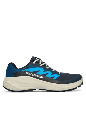 Obrázek produktu Salomon Běžecké boty Alphaglide Gtx L47975100 Modrá