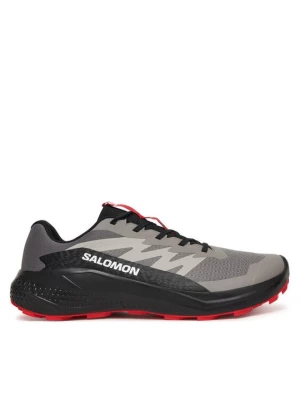 Obrázek produktu Salomon Běžecké boty Alphaglide L48000800 Šedá