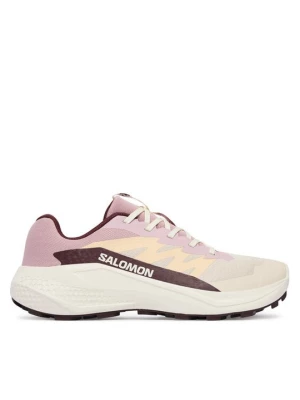 Obrázek produktu Salomon Běžecké boty Alphaglide W L49092800 Écru Krémová