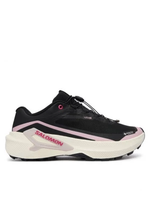 Obrázek produktu Salomon Běžecké boty Genesis 2 GTX L49309300 Černá
