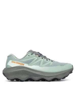 Obrázek produktu Salomon Běžecké boty Ultra Flow 2 Gtx GORE-TEX L45473900 Zelená
