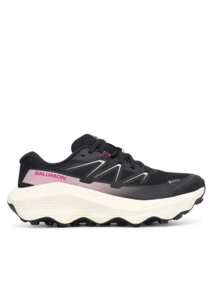 Obrázek produktu Salomon Běžecké boty Ultra Flow 2 Gtx W GORE-TEX L49299500 Černá