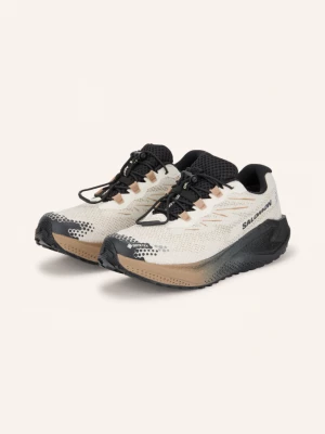 Obrázek produktu Salomon Běžecké Trailové Boty Aero Blaze 4 Grvl Gtx krémová / světle hnědá / černá