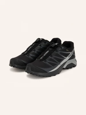 Obrázek produktu Salomon Sneakersy Xt-Pathway Gtx černá / stříbrná