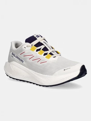 Obrázek produktu Salomon Tréninkové boty Salomon AERO BLAZE 3 béžová