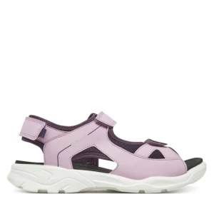 Obrázek produktu Sandály ECCO Biom Raft 70060361137 Fialová