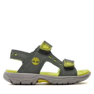 Obrázek produktu Sandály Timberland Moss Jump 2 Strap Sandal TB0A68RHL951 Khaki