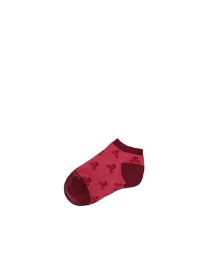 Obrázek produktu Scalpers Ponožky magenta / tmavě růžová