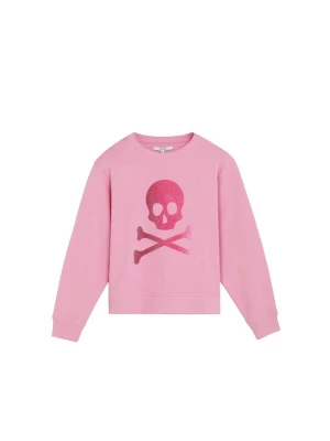 Obrázek produktu Scalpers Svetr 'Caviar Skull' pink / růžová