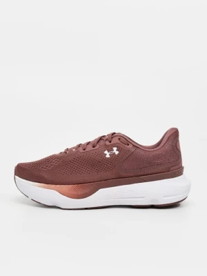 Obrázek produktu Silniční běžecké boty Under Armour hnědá