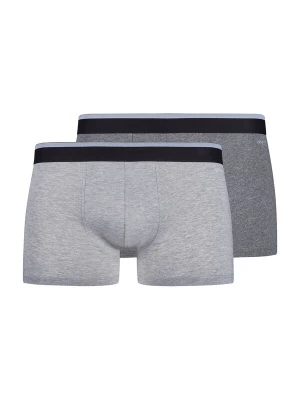 Obrázek produktu Skiny Boxerky šedá / antracitová