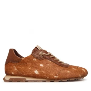 Obrázek produktu Sneakersy Hispanitas Zinnia HI265187 C002 Hnědá
