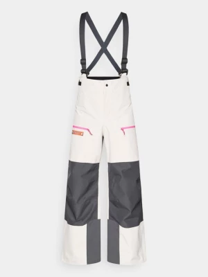 Obrázek produktu Snowboardové kalhoty Nike hnědá