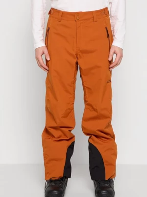 Obrázek produktu Snowboardové kalhoty Oakley béžová