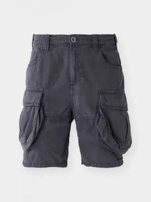 Obrázek produktu Šortky Alpha Industries