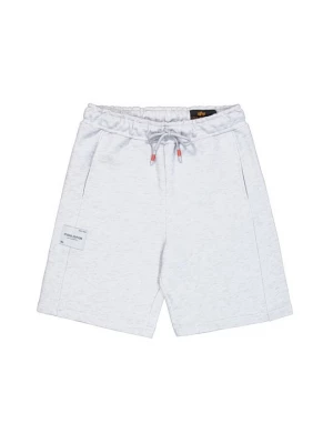 Obrázek produktu Šortky Alpha Industries