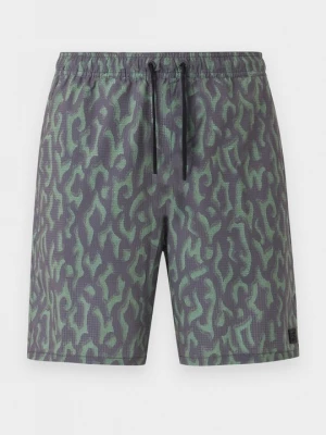 Obrázek produktu Šortky Billabong