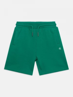 Obrázek produktu Šortky Calvin Klein Jeans zelená