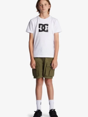 Obrázek produktu Šortky DC Shoes zelená