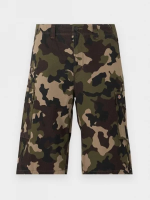 Obrázek produktu Šortky Dickies