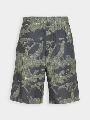 Obrázek produktu Šortky Diesel khaki