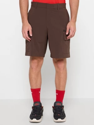 Obrázek produktu Šortky Jordan tmavě hnědá
