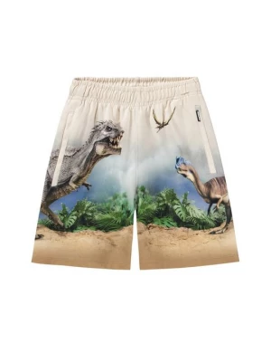 Obrázek produktu Šortky Molo
