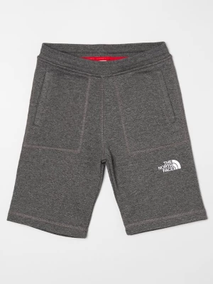 Obrázek produktu Šortky The North Face