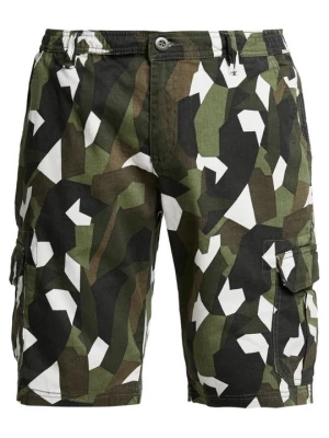 Obrázek produktu Šortky Urban Classics zelená