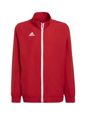 Obrázek produktu Sportovní bunda adidas performance