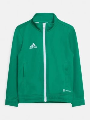 Obrázek produktu Sportovní bunda Adidas zelená