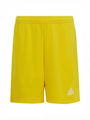 Obrázek produktu Sportovní kraťasy Adidas žlutá