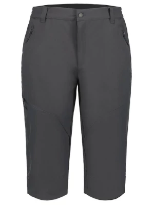 Obrázek produktu Sportovní kraťasy icepeak