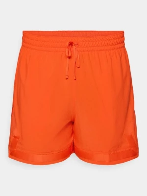 Obrázek produktu Sportovní kraťasy Jordan
