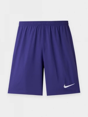 Obrázek produktu Sportovní kraťasy Nike fialová