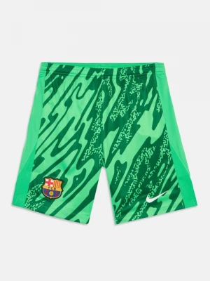 Obrázek produktu Sportovní kraťasy Nike zelená