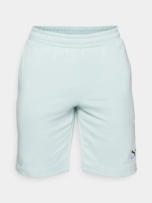 Obrázek produktu Sportovní kraťasy Puma