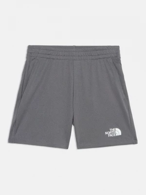 Obrázek produktu Sportovní kraťasy The North Face