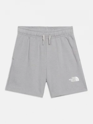 Obrázek produktu Sportovní kraťasy The North Face