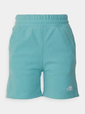 Obrázek produktu Sportovní kraťasy The North Face modrá