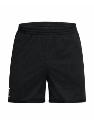 Obrázek produktu Sportovní kraťasy Under Armour