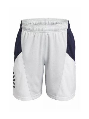 Obrázek produktu Sportovní kraťasy Under Armour