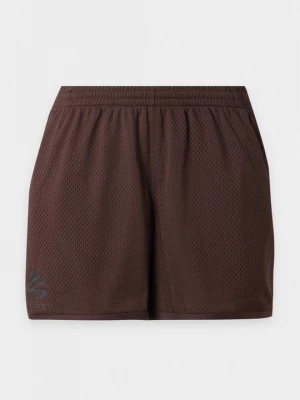 Obrázek produktu Sportovní kraťasy Under Armour hnědá