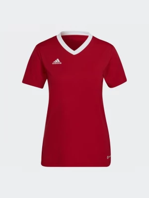 Obrázek produktu Sportovní tričko Adidas červená