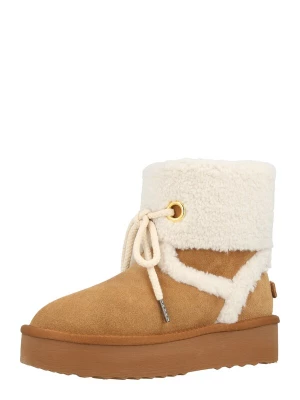 Obrázek produktu STEVE MADDEN Kozačky 'Shadow' krémová / tmavě béžová