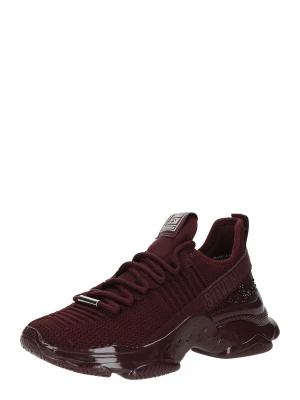 Obrázek produktu STEVE MADDEN Tenisky 'Maxilla-R-E' vínově červená