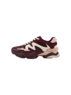 Obrázek produktu STEVE MADDEN Tenisky 'Speeder' světle béžová / cyclam / pudrová
